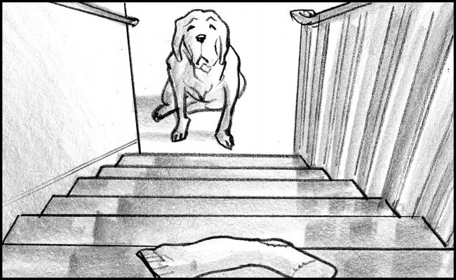 Black and white storyboard frame of labrador dog unable to climb stairs