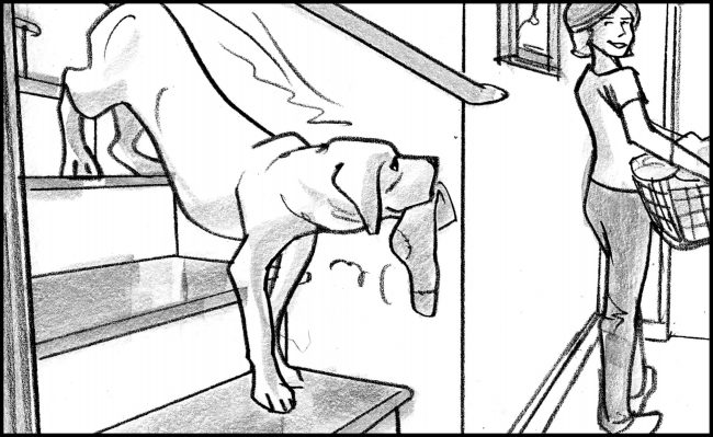 Black and white storyboard frame of labrador dog carrying a sock