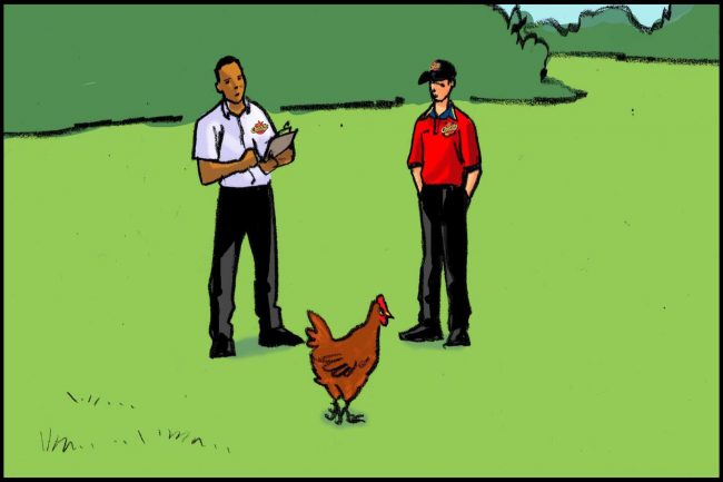 2 men checking a chicken