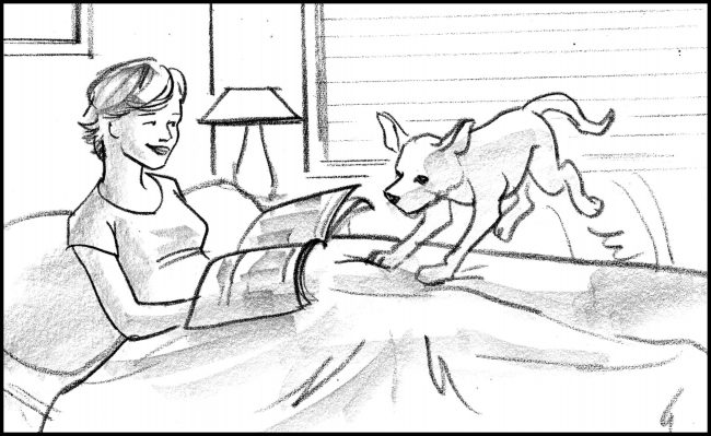 Black and white storyboard frame of labrador puppy jumping on the bed