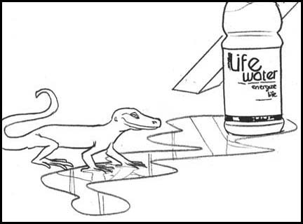 Sobe water superbowl commercial black and white line art storyboard featuring Naomi Campbell and dancing lizards