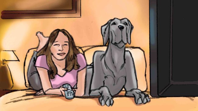 Color storyboard featuring great dane dog and young woman owner, both on bed watching tv