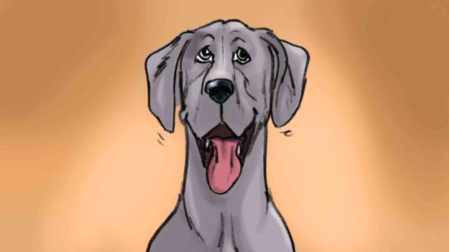 Color storyboard featuring great dane dog and young woman owner, dog looking excited, close up of dog's face
