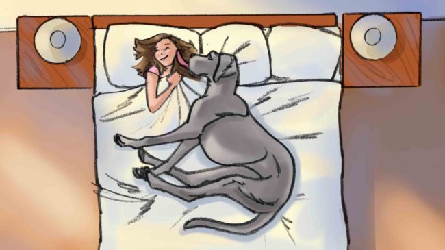 Color storyboard featuring great dane dog and young woman owner, dog licking her face as she lays in bed, overhead shot