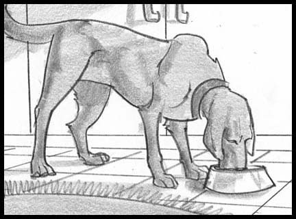 Black and white storyboard frames showing pets, in this case a chocolate labrador eating from a dog food bowl