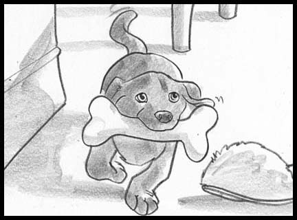 Black and white storyboard frames showing pets, in this case a chocolate labrador puppy running carrying a bone in its mouth