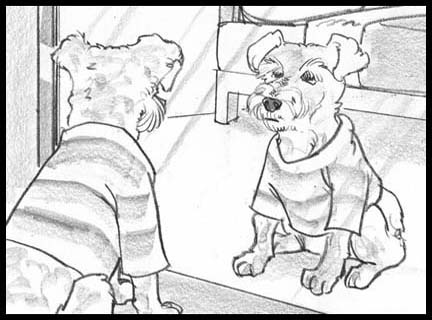 Black and white storyboard frames showing pets, in this case a small lap dog wearing a sweater